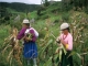 Rural Andean communities share family farming approaches