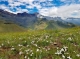 Southern African Mountain Conference a collective voice for sustainable development