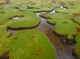 Andean wetland research project launched in Bolivia