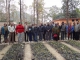 CEE Himalaya medicinal plant project 