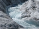 Retreating Ice Leaves Glacial Species On The Rocks