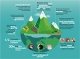 Mountain Biodiversity Matters – International Mountain Day 2020