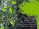 UNEP publication on Kenyan Montane Forests