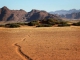 Namibia hosts African climate negotiators