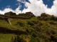Peru approves mountain biodiversity group