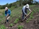 Researchers study periurban farmers in Peruvian Andes