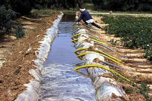 FAO - News Article: Irrigation key for Africa's food security – Diouf