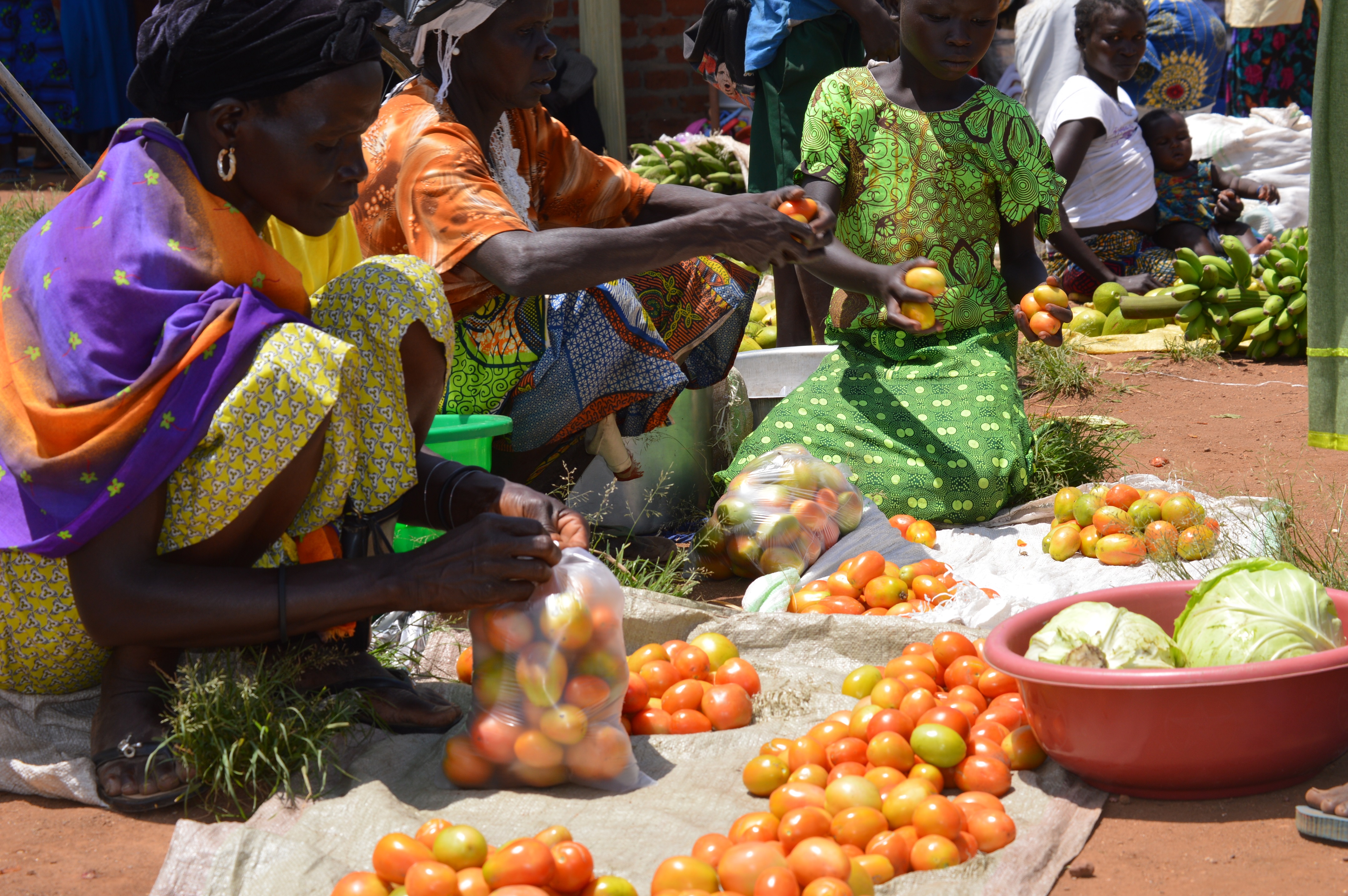 Resource Partners | Food and Agriculture Organization of the United Nations