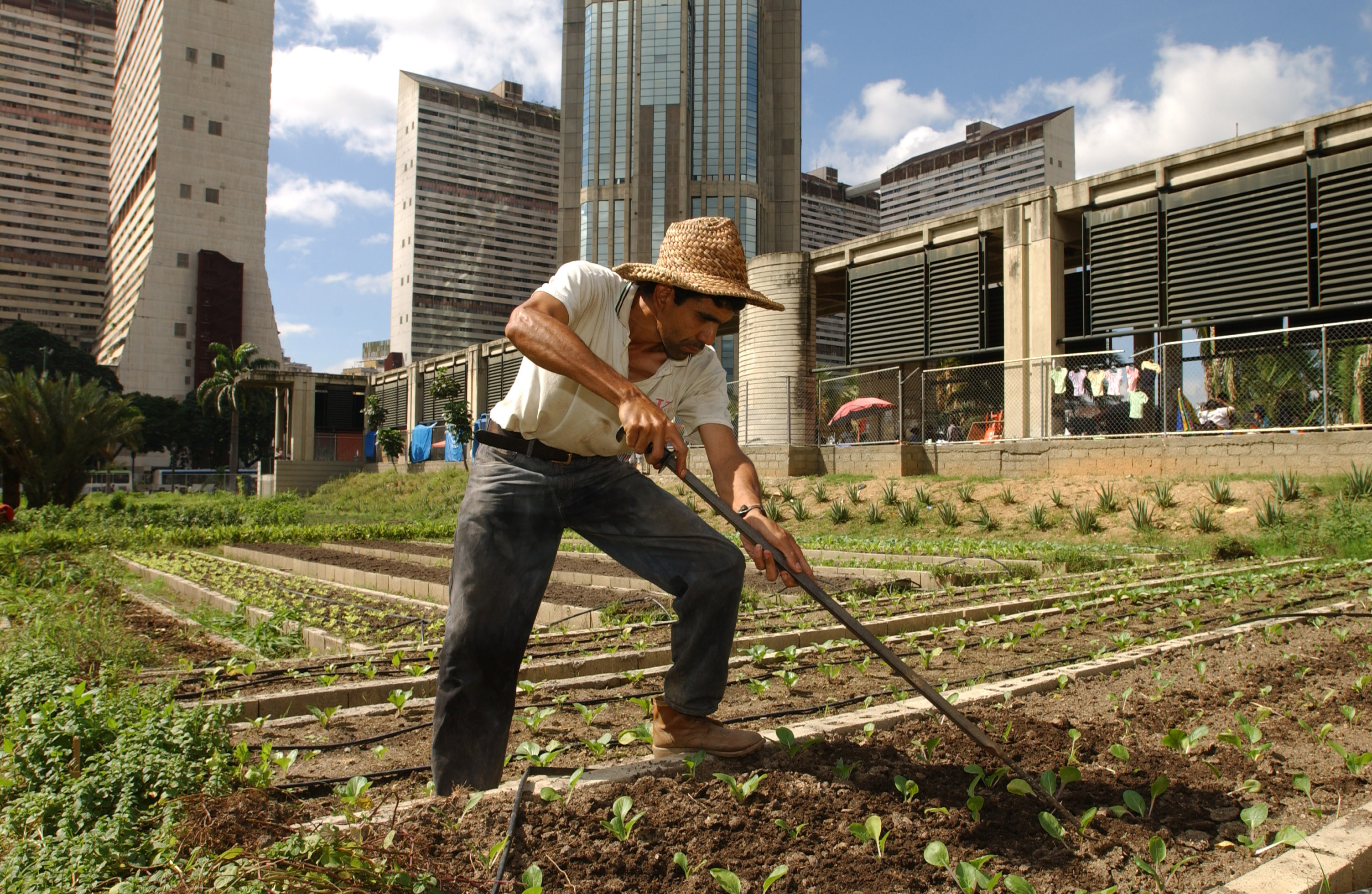 Пригородное сельское хозяйство. ФАО ООН эрозия почв. Agriculture and urbanization. Agriculture in Urban planning. Plant Production and Protection Division.