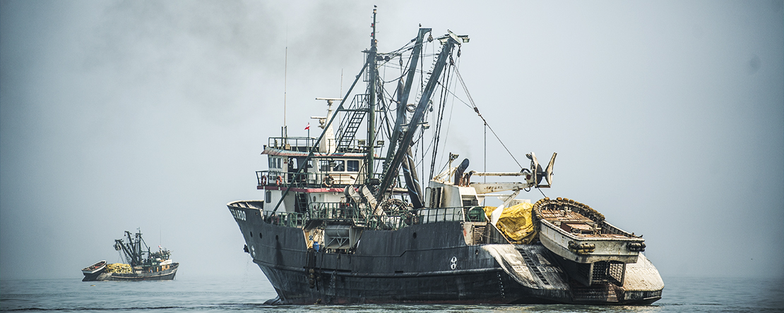 Illegal, Unreported, and Unregulated Fishing Causes and Effects