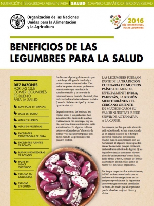 Hoja de Datos: Beneficios para la salud de las legumbres | FAO