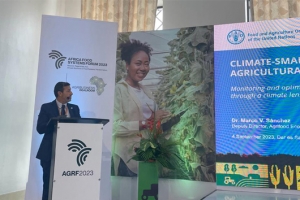 FAO and AIM for Climate announce new collaboration to help countries spend  smarter on agriculture to curb climate change