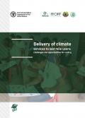 Delivery of climate services to last mile users: challenges and opportunities for scaling