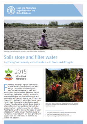 Los suelos en el ciclo del agua | FAO