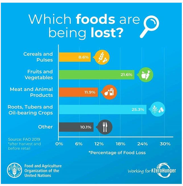 Technical Platform on the Measurement and Reduction of Food Loss and ...