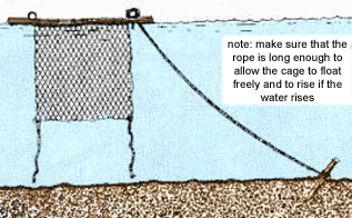 HANDBOOK16. Producing fish in cages