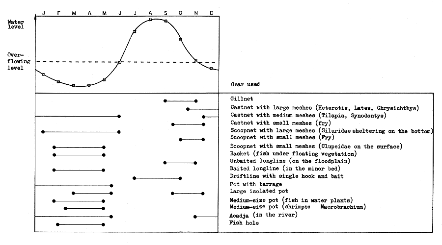 Fig. 20