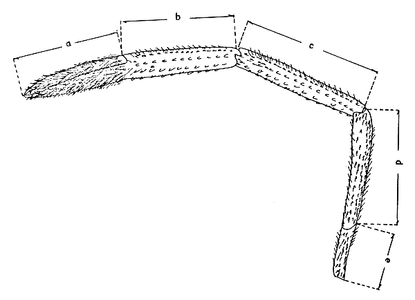 Fig. 4.2