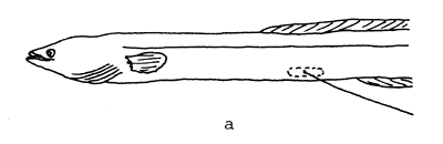 Fig. 1 a