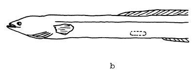 Fig. 1 b