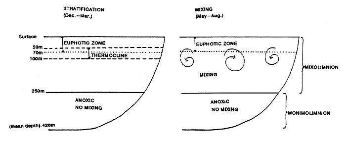 Figure 3.1