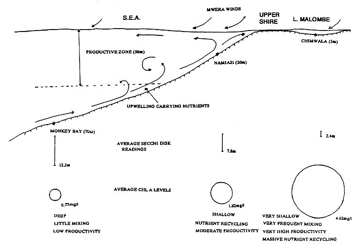 Figure 3.2