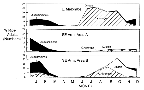 Figure 4.1