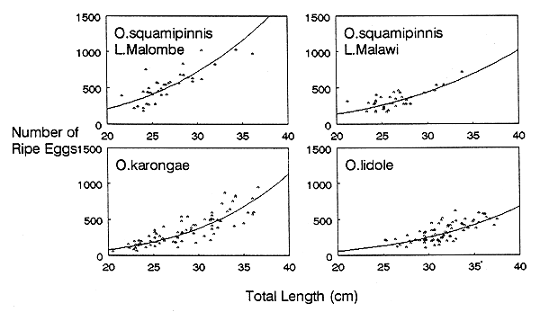 Figure 4.2