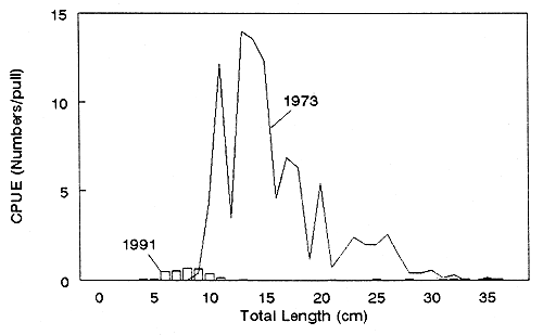 Figure 4.5