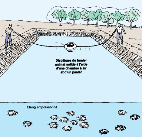 LA GESTION: Les Tangs Et Leur Eau