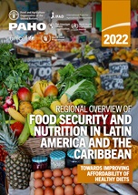 The future of Latin American food markets – International Urban and  Regional Cooperation