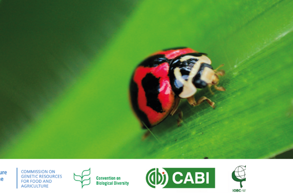 Banner - Open-ended workshop on biological control agents and biostimulants