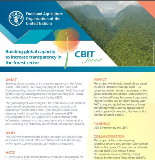Fomento de la capacidad global para aumentar la transparencia en el sector forestal (CBIT-Forest)