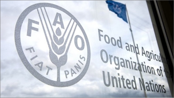 Home | Food and Agriculture Organization of the United Nations