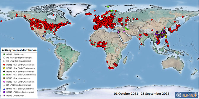 Global AIV with Zoonotic Potential