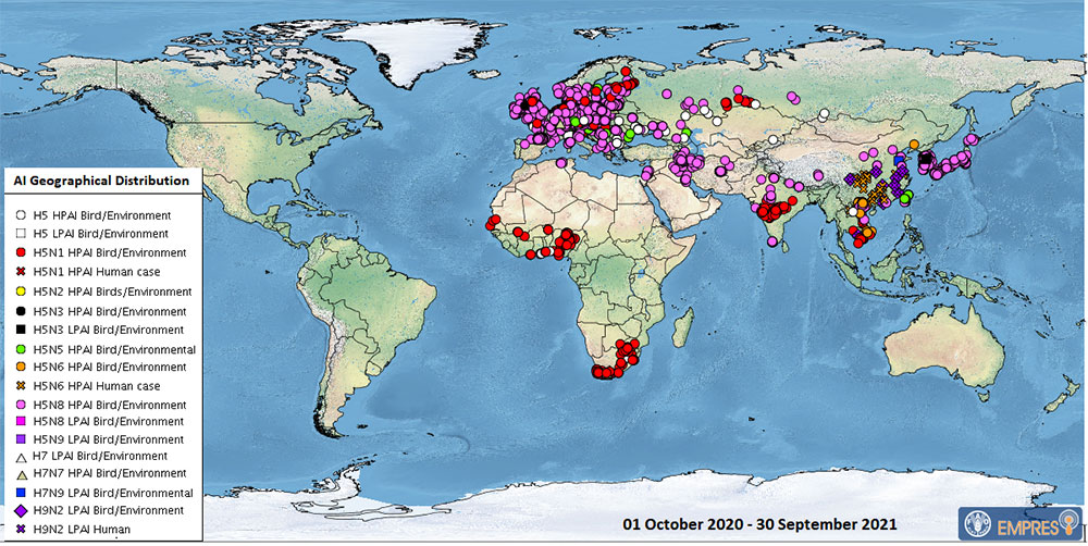 Global AIV with Zoonotic Potential