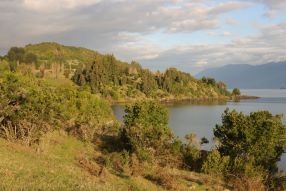 Sur l’île Huapi, au Chili, les forêts naturelles étaient devenues morcelées, ce qui appauvrissait et asséchait les sols et rendait la population locale vulnérable aux effets du changement climatique. © CONAF FAO /Oscar Concha