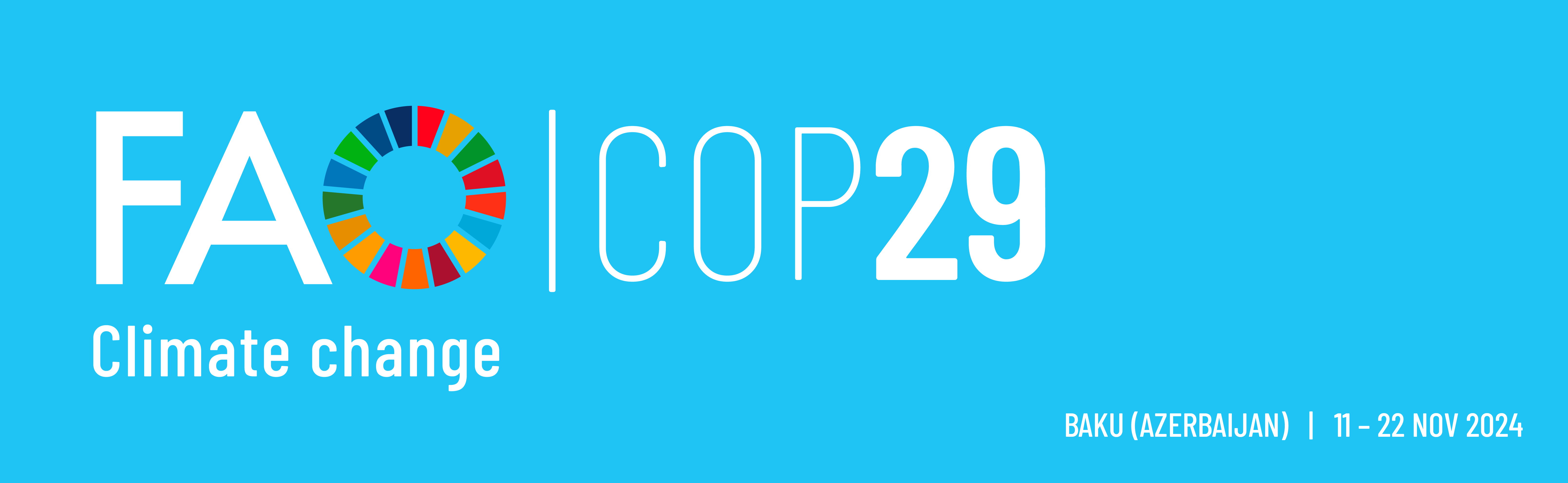 COP29 banner