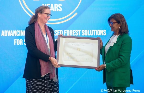 FAO and IUFRO mark 75th anniversary of collaboration on forests