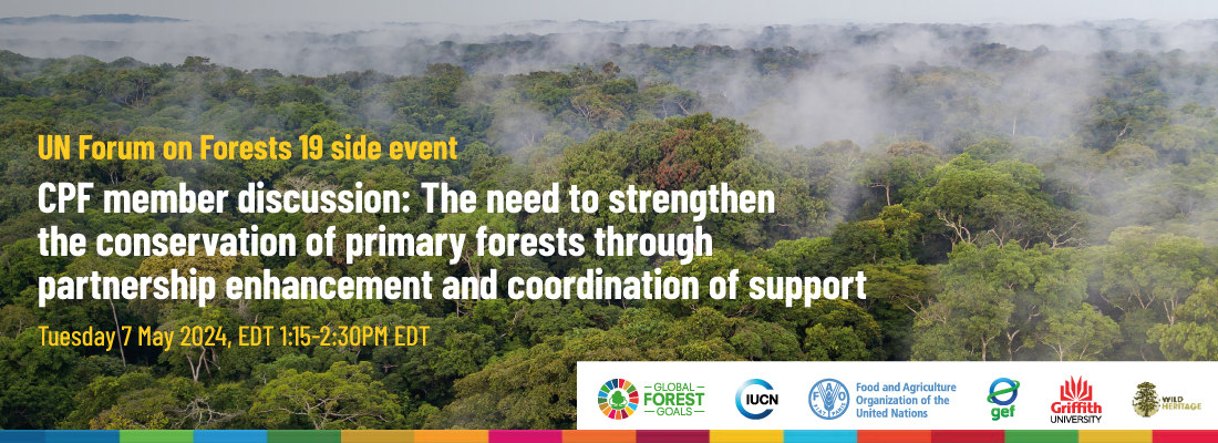 The need to strengthen the conservation of primary forests through partnership enhancement and coordination of support