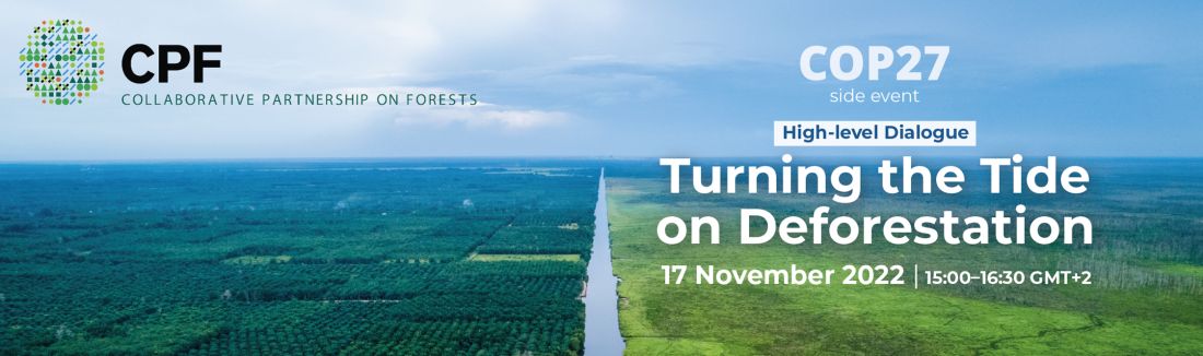 Challenges and opportunities in turning the tide of deforestation