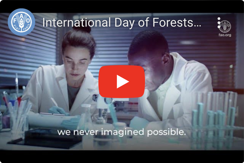 forest and innovation