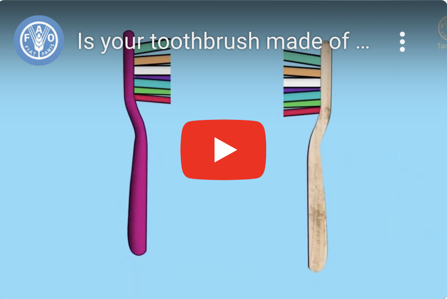 Is your toothbrush made of plastic