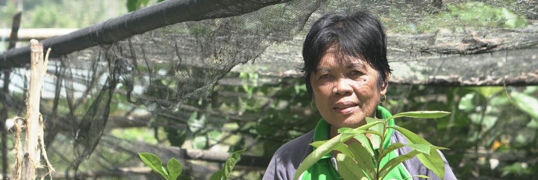 La Sra. Nida Collado se convierte en la séptima ganadora del premio, según se anunció en el 27º período de sesiones del Comité Forestal