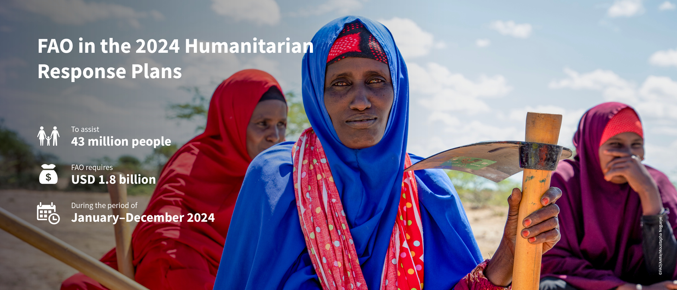 FAO In The 2024 Humanitarian Appeals FAO Emergency And Resilience   Fao In The 2024 Hrps Banner Website Alt 