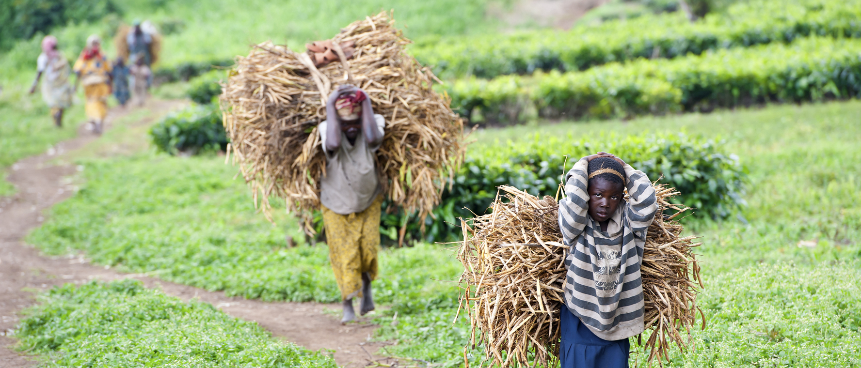 gender-and-decent-rural-employment-and-child-labour