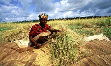 African Voices On Women’s Empowerment In Agricultural Development