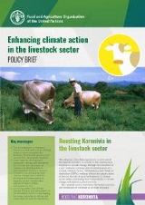 Enhancing climate action in the livestock sector