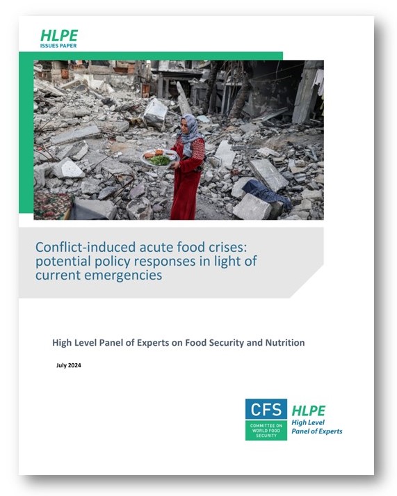 HLPE-FSN Issues paper on conflicts and FSN