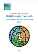 The Global Framework for Food security and Nutrition